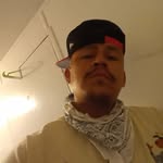 Willi Plainbull - @williamplainbull - Instagram