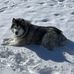 Bill Plambeck - Facebook