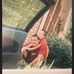 William Plank - Facebook