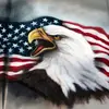 William Plank - @william.plank - TikTok