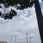 William Plata - @williamplata5 - Instagram