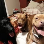 William plewa - @williamplewa - Instagram