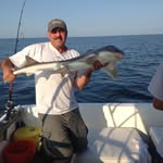 William Plotkin - @williamplotkin - Instagram