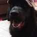 William Plott - Facebook