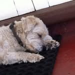 William - @william.plumbley - Instagram