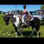 William Plumbar - @williamplumbar - Instagram