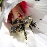 William Pohl - @williampohl42069 - Instagram