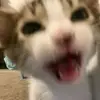 William Vogelpohl - @williamvogelpohl120 - TikTok
