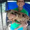 William pol - @william.pol - TikTok