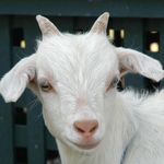 William Pomeroy - @william.pomeroy7188 - Instagram