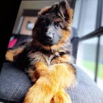 William Porter - @williamporter1616 - Instagram