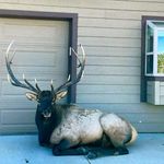 William Post - @william29.wp - Instagram