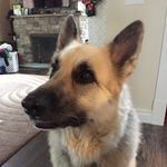 William Post - @william______post - Instagram