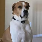 William Press - @wpress3 - Instagram