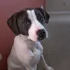 WilliamPressScott - @williampressscott - TikTok