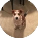 @william__pribble3322 - Instagram
