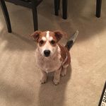 William Pribble - @williampribble - Instagram