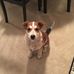 William Pribble - Facebook