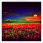 William Pulliam - @freakeolune - Instagram