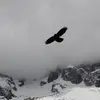 WilliamPutz778 - @williamputz778 - TikTok