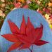 William Qiao - Facebook