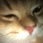 William Qin - @wil1qin - Instagram
