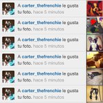 William Quiles - @fervoeter - Instagram