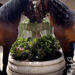 William Quintero Robles - @williamquinteromanager - Instagram