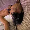 William Quinteros - @william.quinteros48 - TikTok