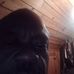 William Rucker - Facebook