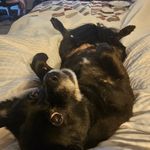 William Rauber - @rauber.william - Instagram
