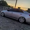 williamrauber7 - @williamrauber7 - TikTok