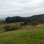 William Rayne Vineyard's - @william_rayne_vineyards - Instagram