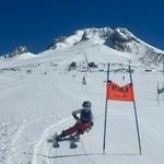 William Raynes - @william_s_raynes - Instagram