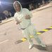 William Raysor - Facebook