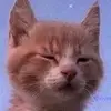 William - @williamraz - TikTok