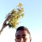 William Raz - Facebook