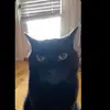 williamready7 - @williamready7 - TikTok