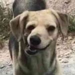 William Reames - @lazyguitargamer - Instagram