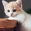 williamandreason3366 - @williamandreason3 - TikTok
