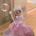 William Redfield - @william.redfield - Instagram