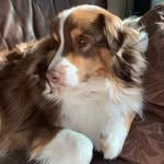 @william.pregent2009 - Instagram