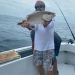 william f regnery - @williamfregnery - Instagram