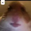 Williamreichman - @reichman6 - TikTok