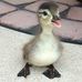 William Reimer - Facebook