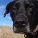 William Reinders - Facebook