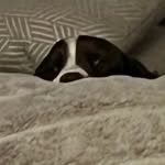 Renee Spencer - @williamreneespencer - Instagram