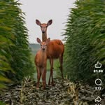 William Renee Demuth - @demuthrenee - Instagram