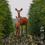 William Renee Demuth - Facebook