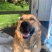William Renegar - Facebook